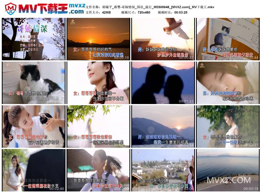 胡端平_蒋婴-哥妹情深_国语_流行_ME600648